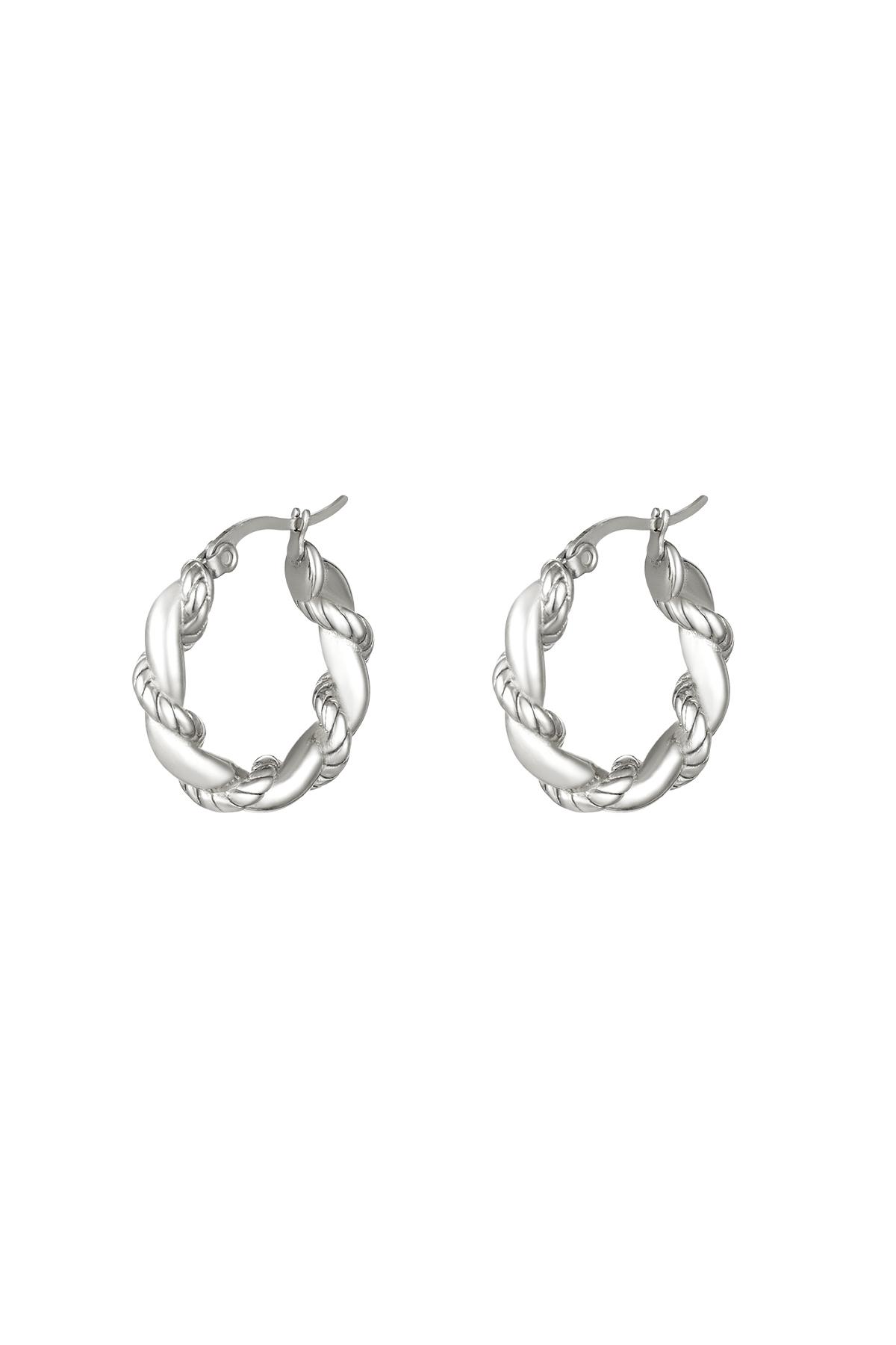 Stainless steel earrings Silver color