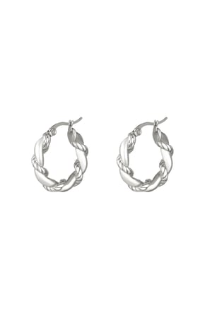 Stainless steel earrings Silver color h5 