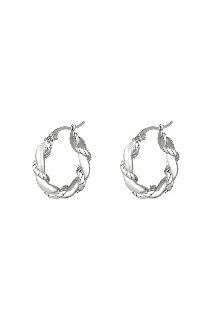 Stainless steel earrings Silver color 