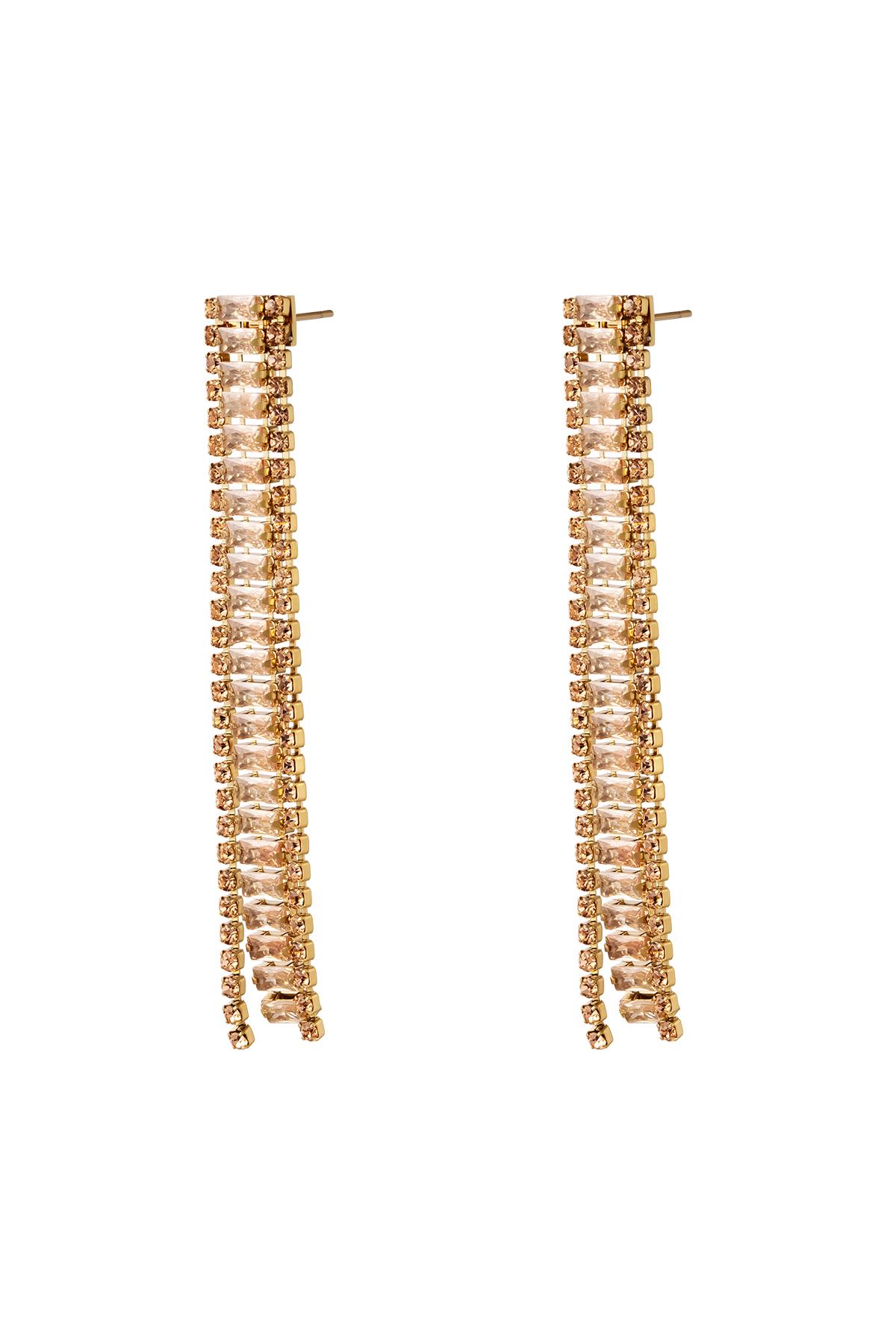 Stainless steel earrings Shimmer Silver color