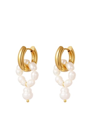 Stainless steel earrings pearls Gold color h5 