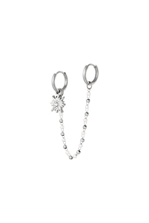 Stainless steel earrings Silver color h5 