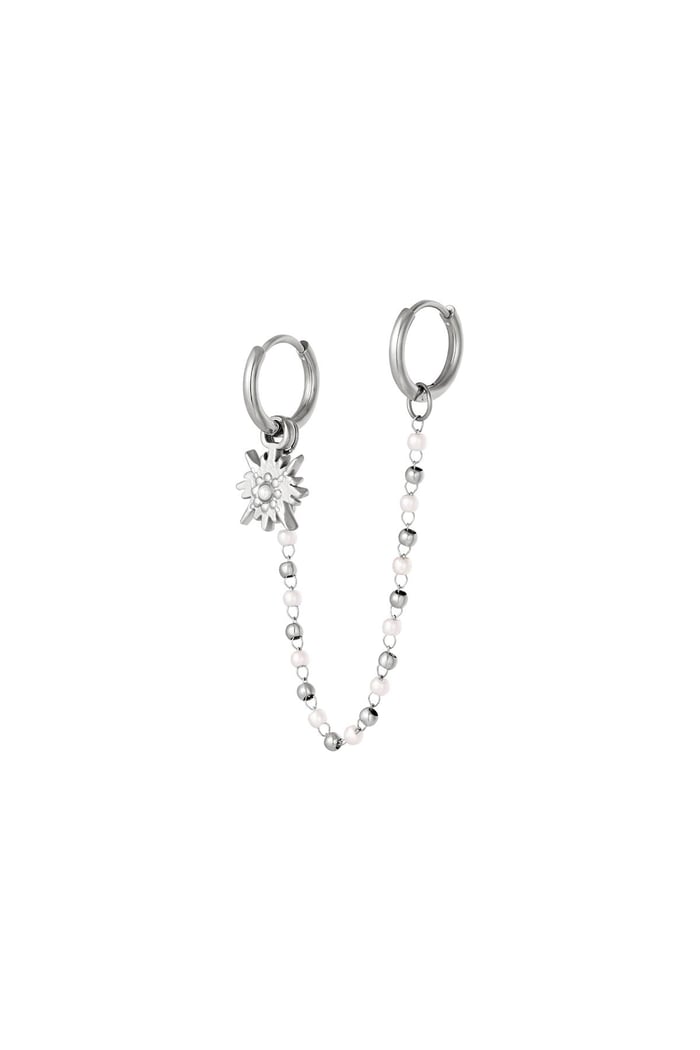 Stainless steel earrings Silver color 