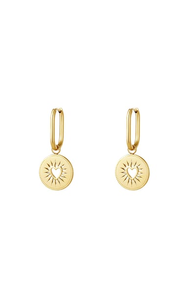 stainless steel earrings  h5 