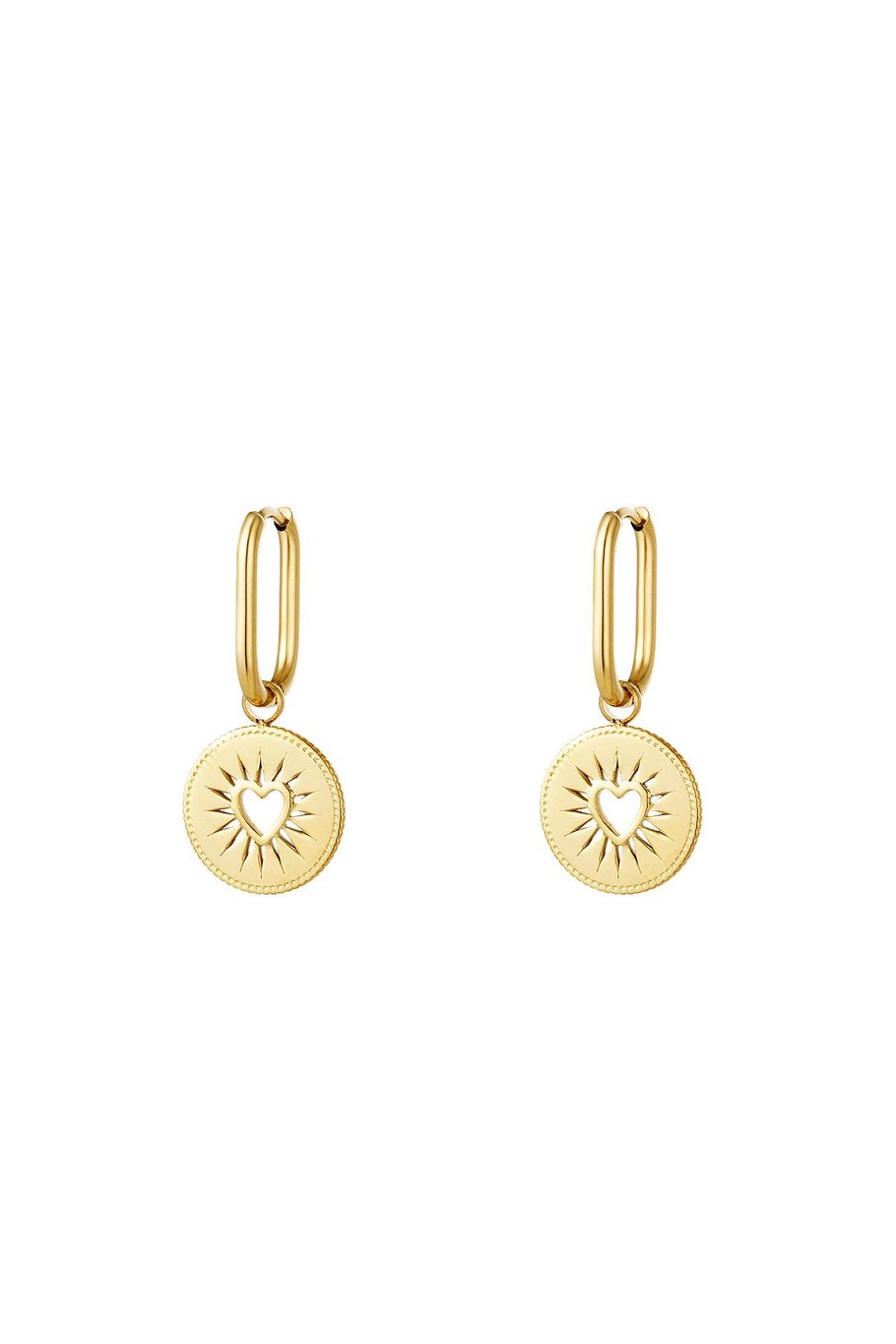 stainless steel earrings  