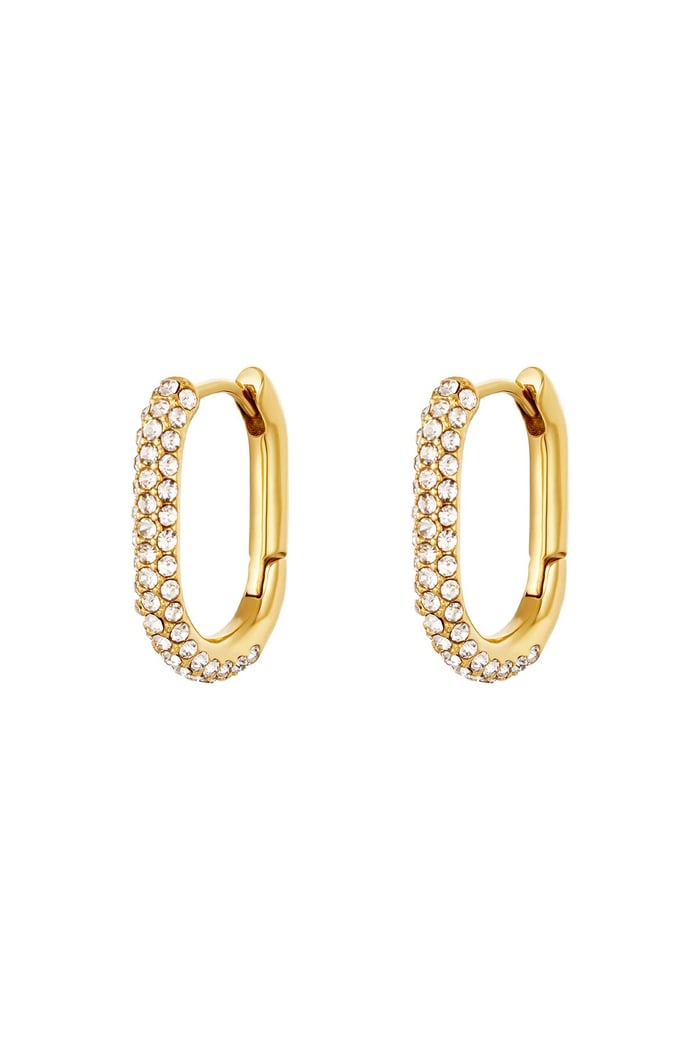 Earrings zircon Gold Color Stainless Steel 