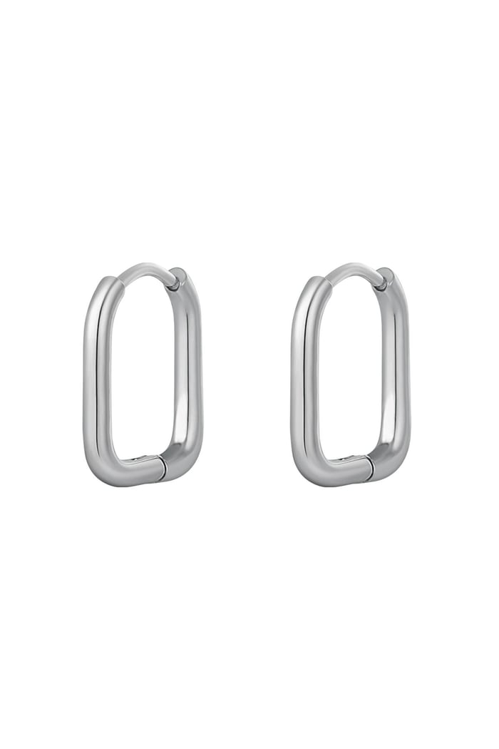 Earrings classic - large Silver Color Stainless Steel 