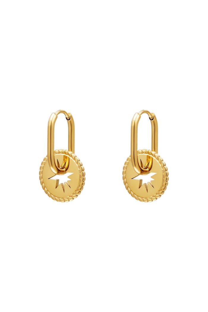 Stainless steel earrings with star coin Gold color 