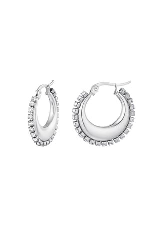 Round earrings with zircon Silver Color Stainless Steel h5 