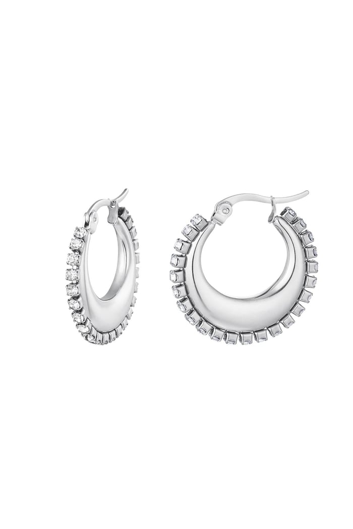 Round earrings with zircon Silver Color Stainless Steel 