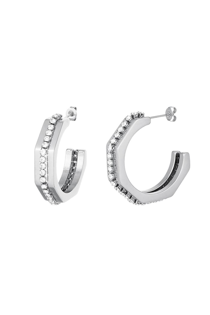 Earrings with zircon details Silver Color Stainless Steel 