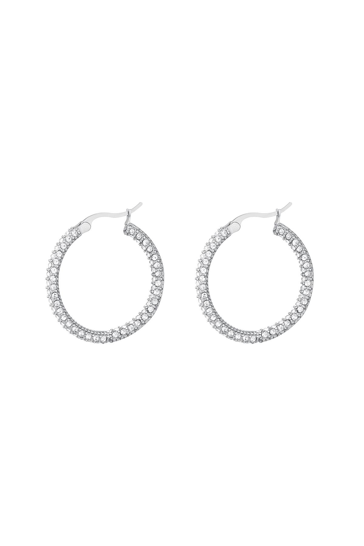 Round zircon earrings - small Silver Color Stainless Steel