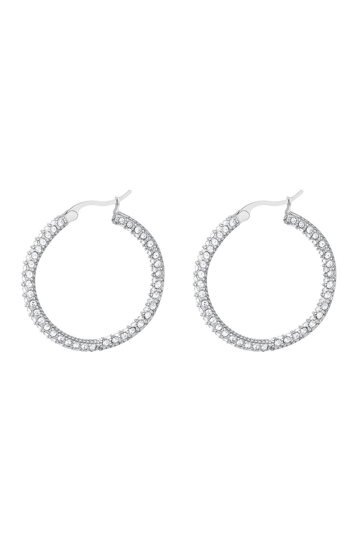 Round zircon earrings - large Silver Color Stainless Steel