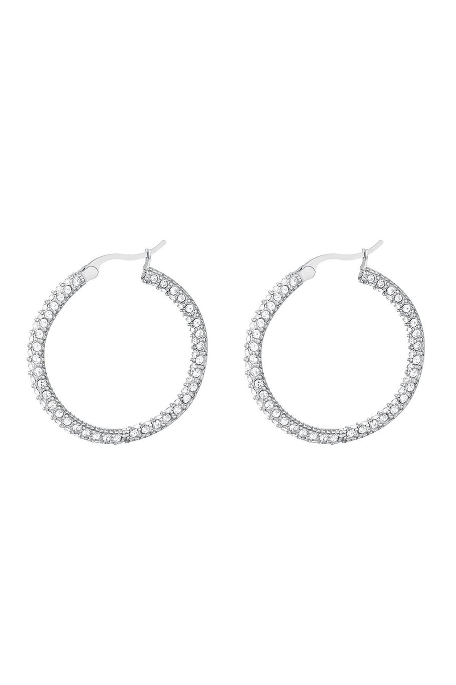 Round zircon earrings - large Silver Color Stainless Steel 