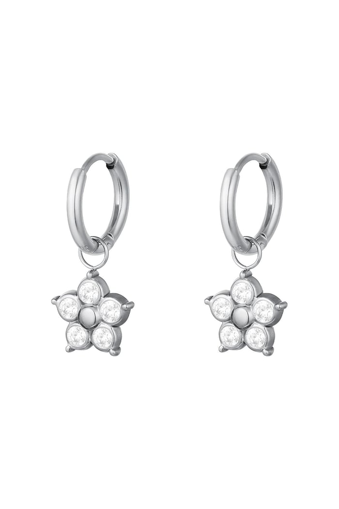 Zircon flower earrings Silver Color Stainless Steel 