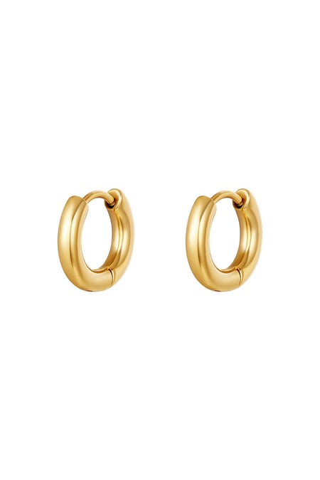 Basic creoles earrings - mini Gold Color Stainless Steel