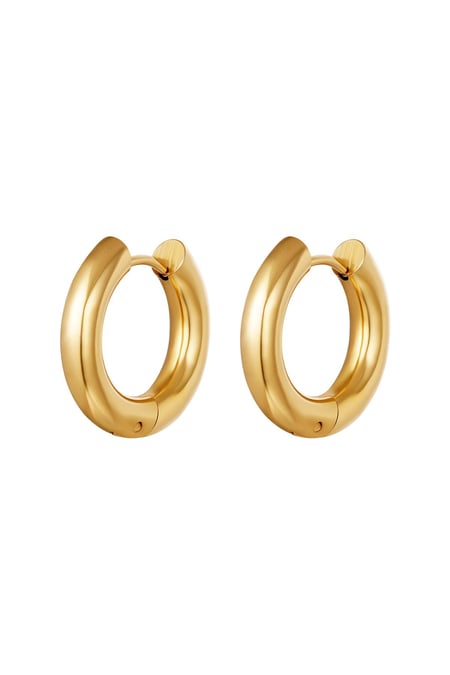 Basic creoles earrings - medium Gold Color Stainless Steel 2