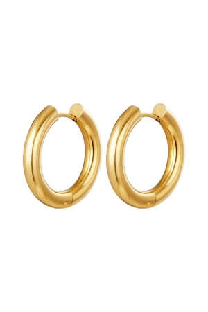 Basic creoles earrings - large Gold Color Stainless Steel h5 