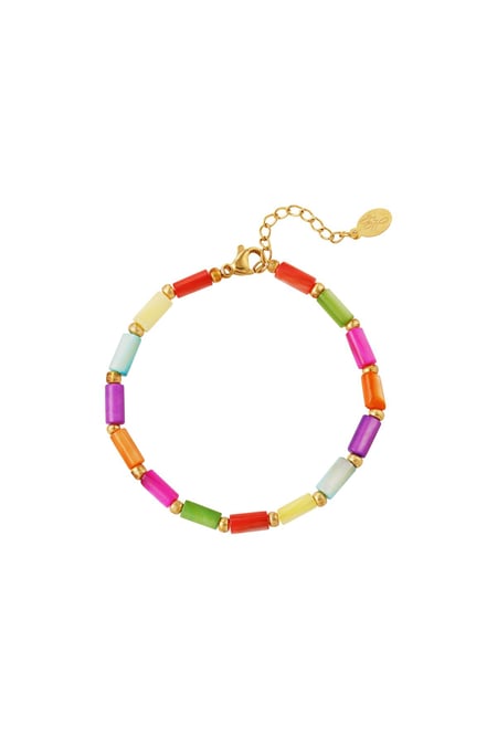 Colourful bracelet - Rainbow collection Multi Stainless Steel