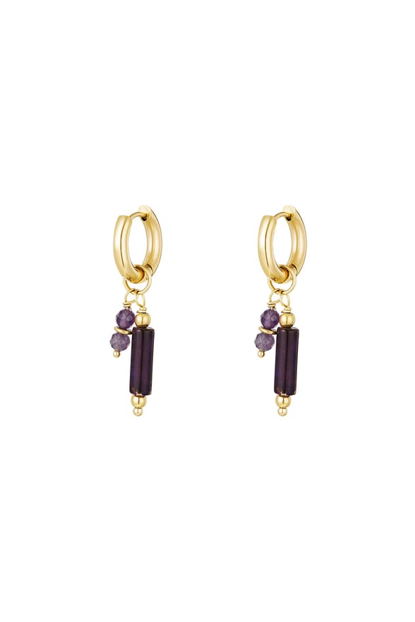 Earrings with stone charms Purple Stainless Steel