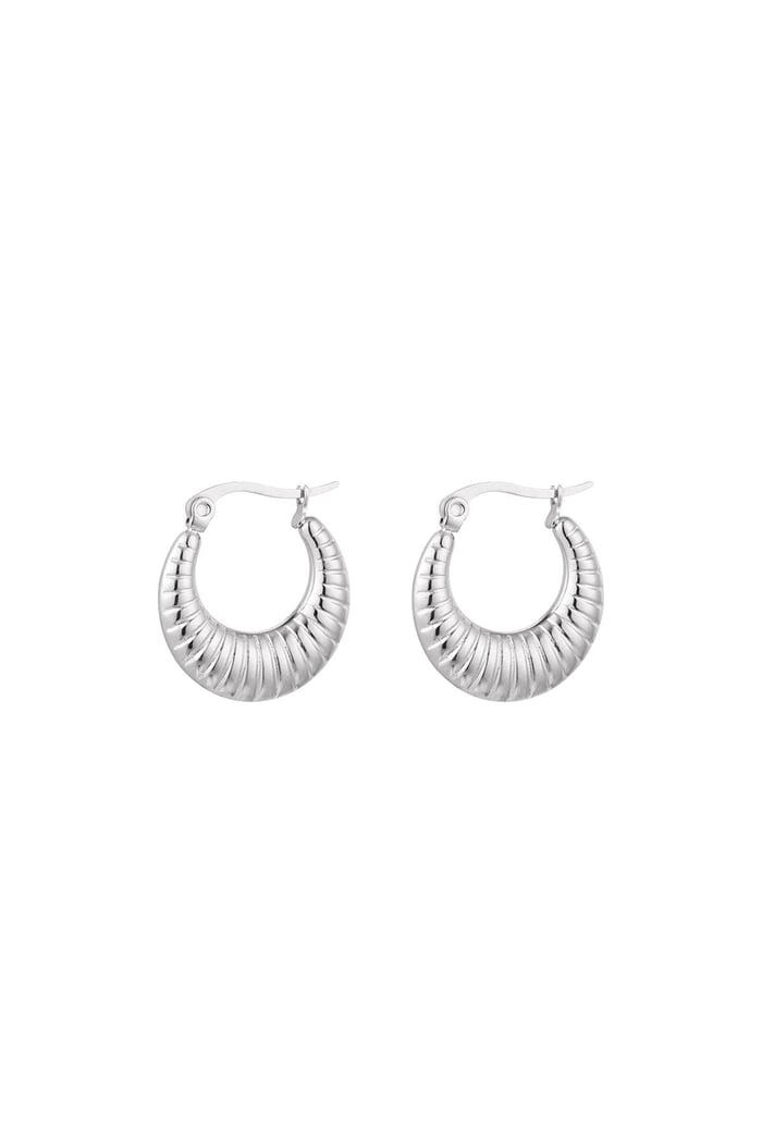 Earrings basic with print Silver Color Stainless Steel 