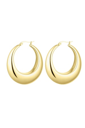 Stainless steel hoop earring round Gold color h5 