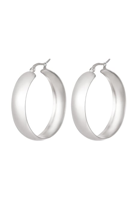 Earrings stainless steel chic Silver color