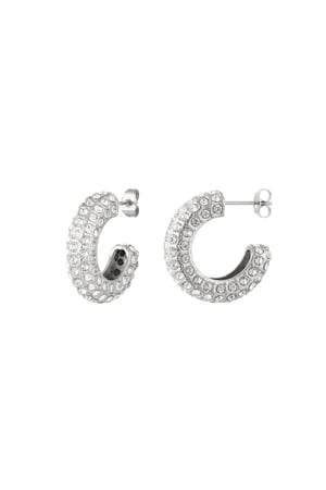 Ear studs zircon Silver Color Stainless Steel h5 