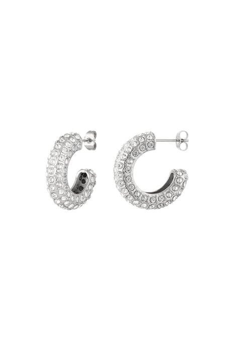 Ear studs zircon Silver Color Stainless Steel