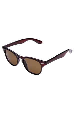 Sunglasses classic Brown PC One size h5 