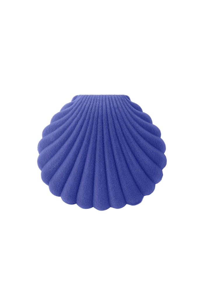 Shell Jewelry Box Blue 