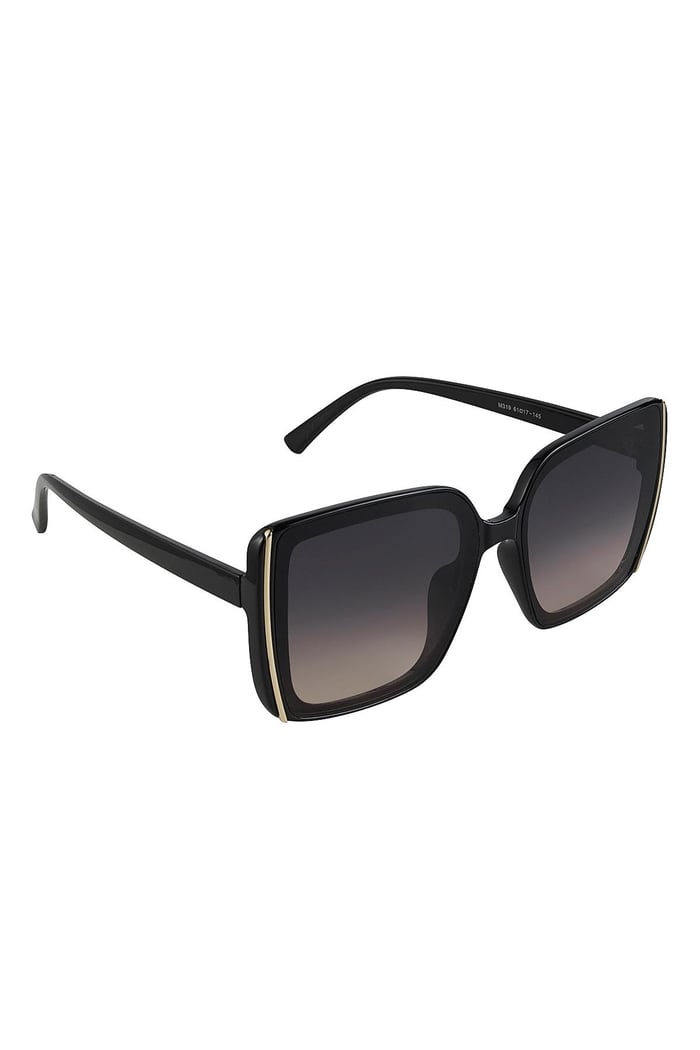 Sunglasses basic with line Black PC One size 