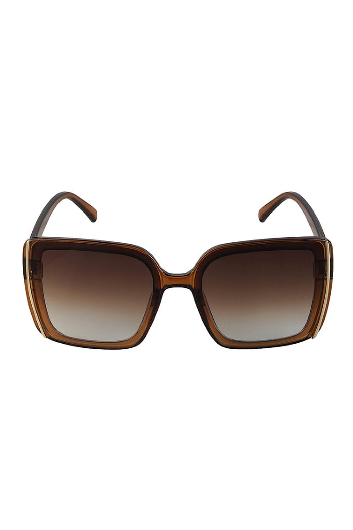 Sunglasses basic with line Brown PC One size Picture5