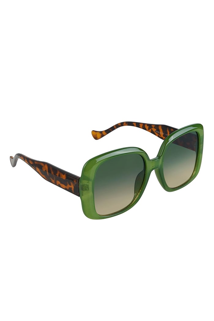 Sunglasses basic Green PC One size 