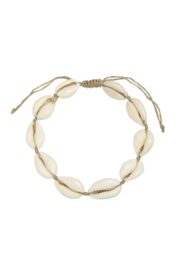 Halhal Kabuk Plaj Gold Sea Shells