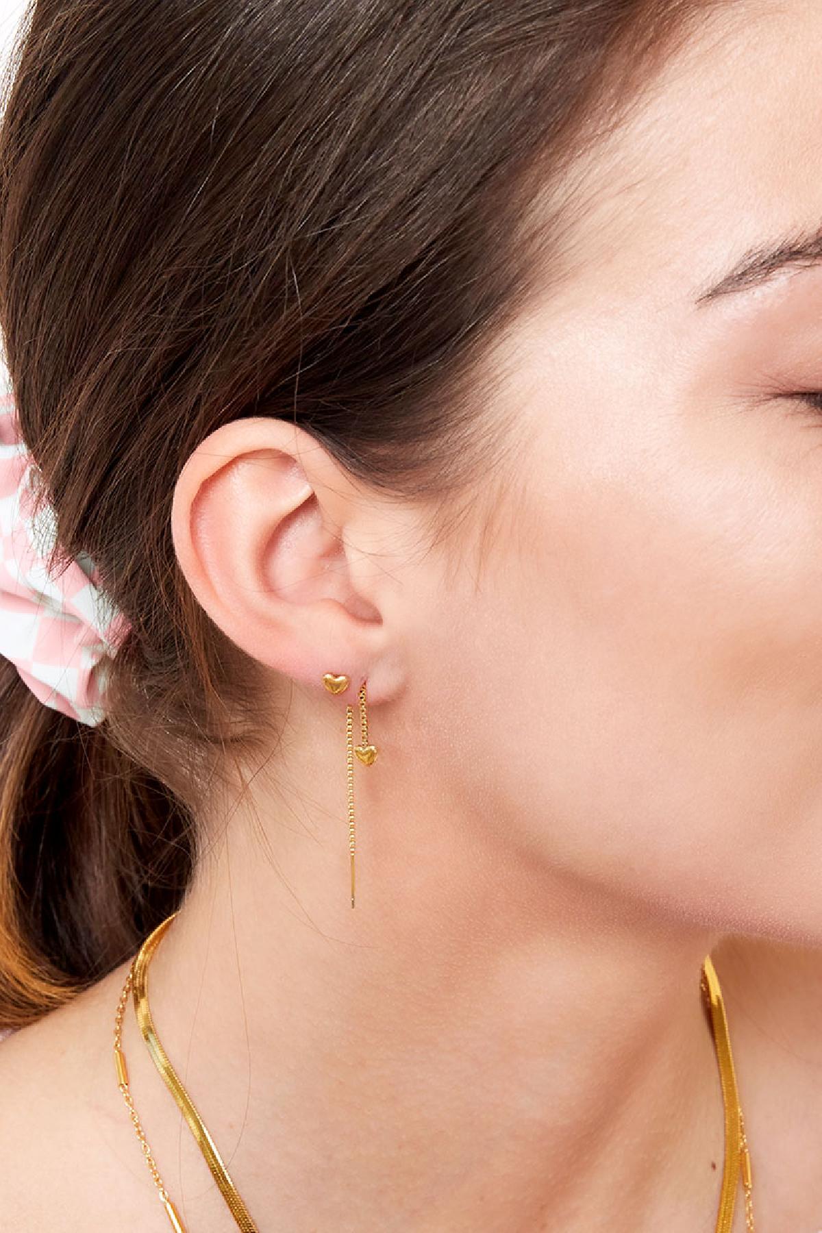 stainless steel earrings heart h5Picture2