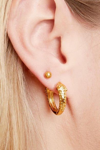 Earrings Big Dot Gold Color Stainless Steel h5 Picture2